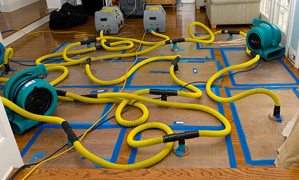 Professional Crawl Space Water Removal technician working in Ware, MA